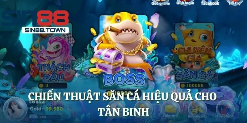 Chiến thuật săn cá hiệu quả cho tân binh